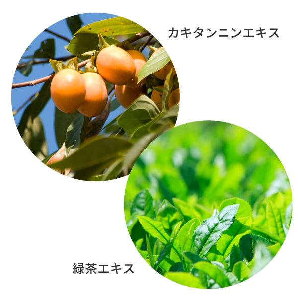 しっかり除菌